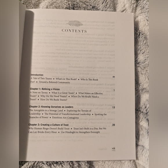 The Art of Coaching Teams Build Resilient Teams that Transform Schools Paperback - Picture 8 of 16